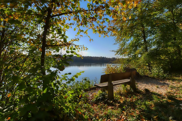 残酷与风险 残酷与风险