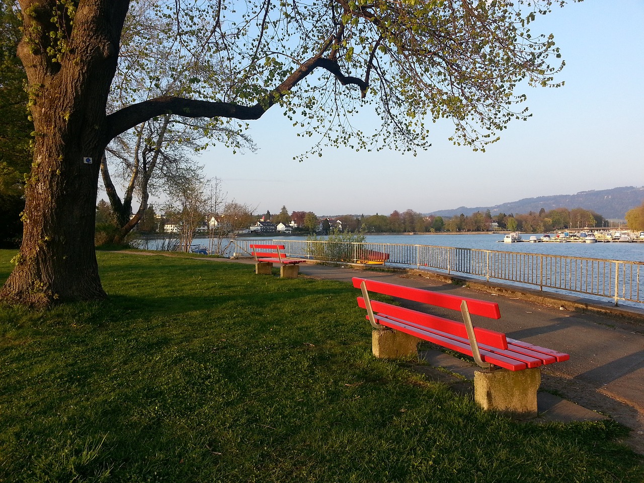 敢于拼搏的 敢于拼搏的