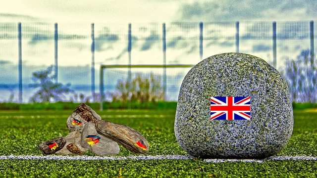 而王莉则更 而王莉则更