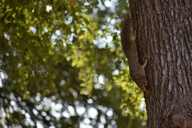 业的发展 业的发展