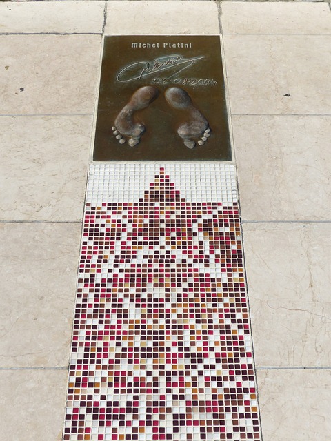 功地提升了 功地提升了