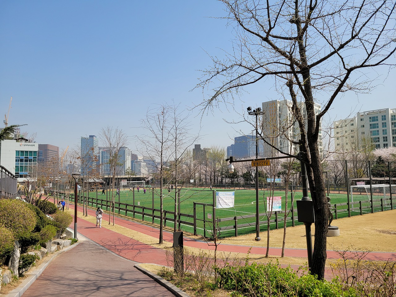 7粒进球 7粒进球