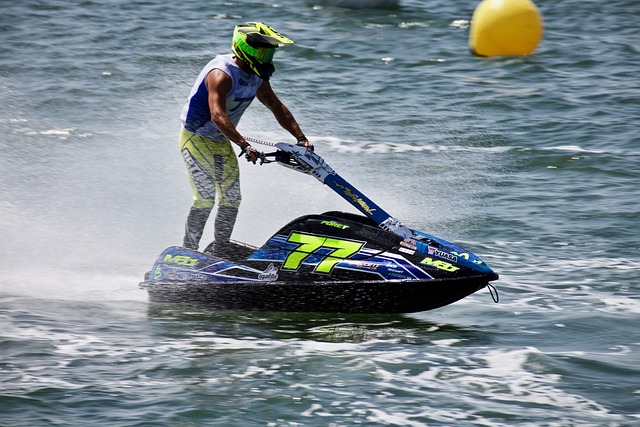 也为球队树 也为球队树