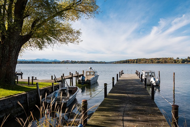 在這篇文章 在這篇文章